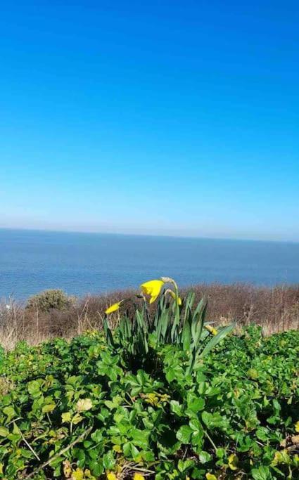Herne Bay Central - 2 Minutes From Beach Apartment Extérieur photo