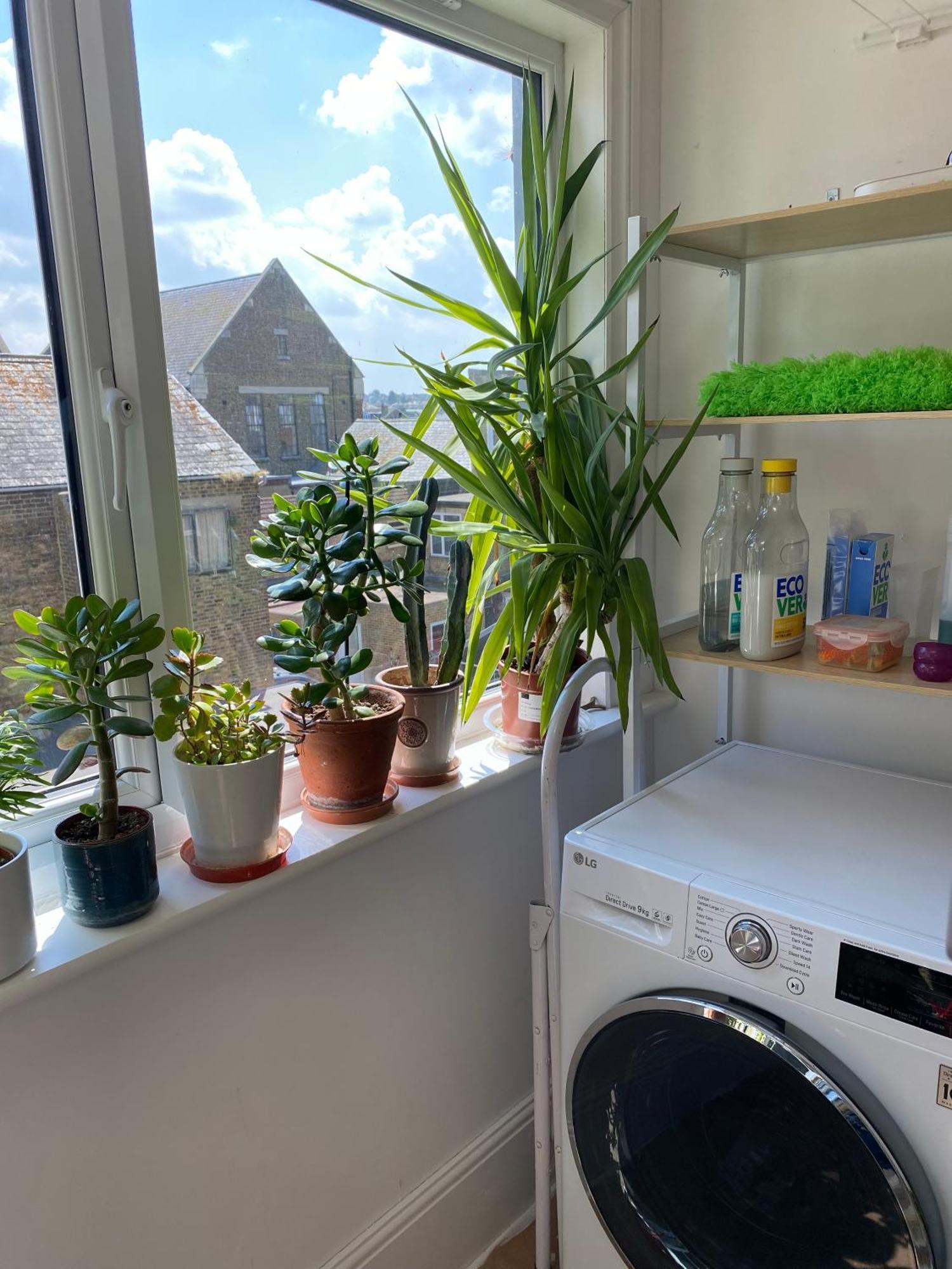 Herne Bay Central - 2 Minutes From Beach Apartment Extérieur photo
